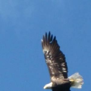 Meet your Posher, Mishpacha